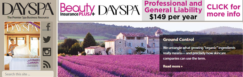 Captura de pantalla de la web de Day Spa